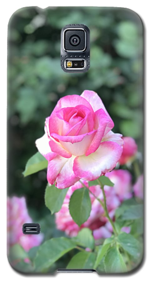 Touch of Pink - Phone Case