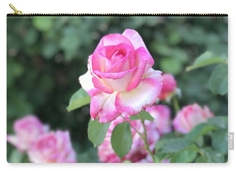 Touch of Pink - Zip Pouch