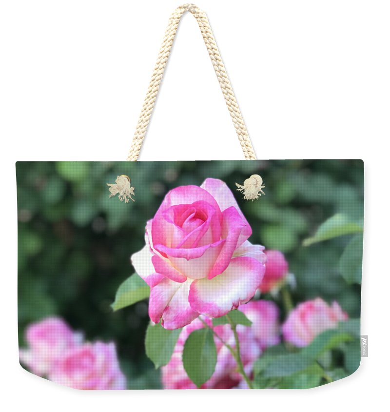 Touch of Pink - Weekender Tote Bag