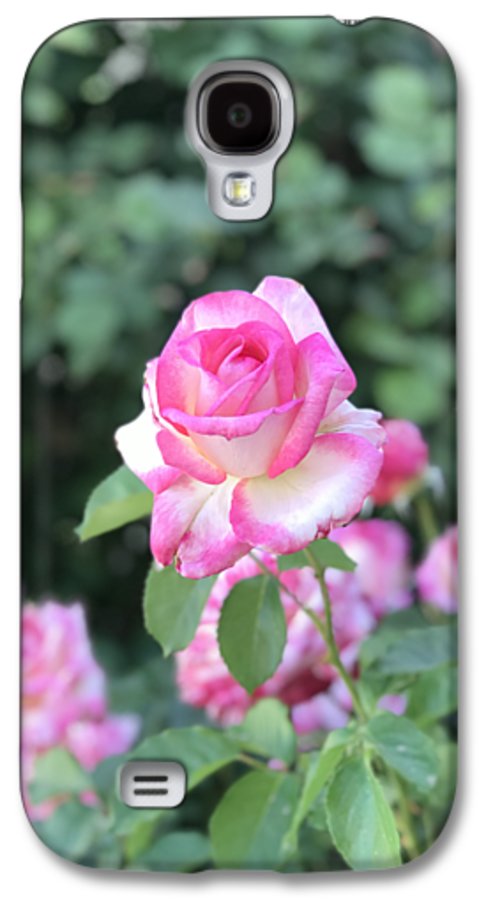 Touch of Pink - Phone Case