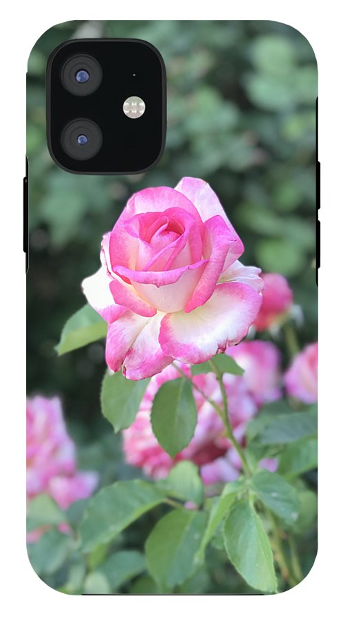 Touch of Pink - Phone Case